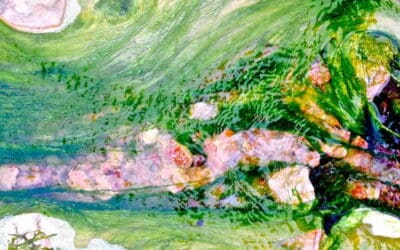 Slip fri af fortidens skygger med hypnose